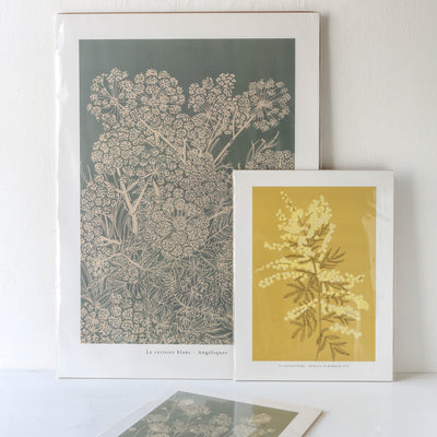 'Angéliques' Print - 50 x 70cm