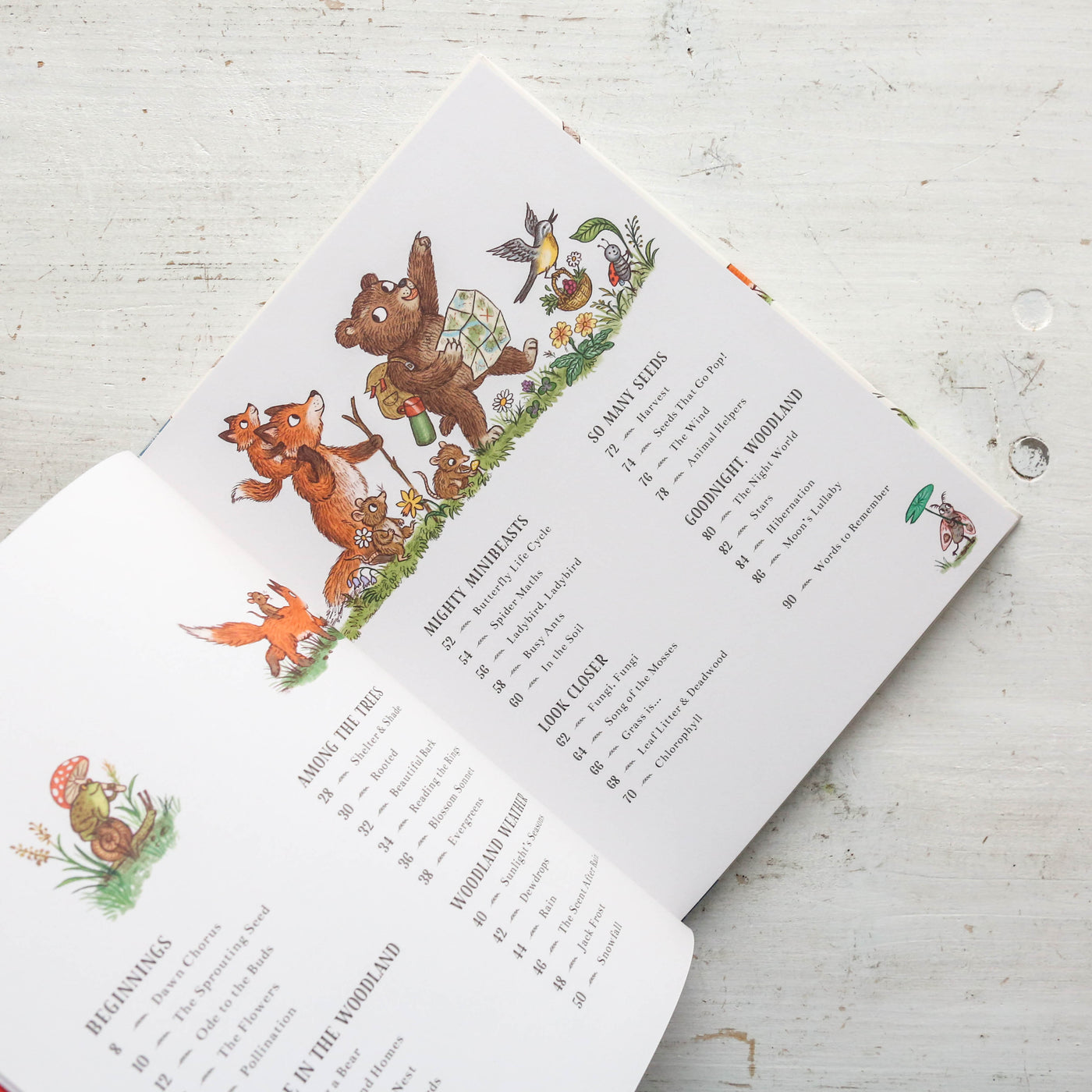 Wisdom of the Woods: 40 Poems to Treasure