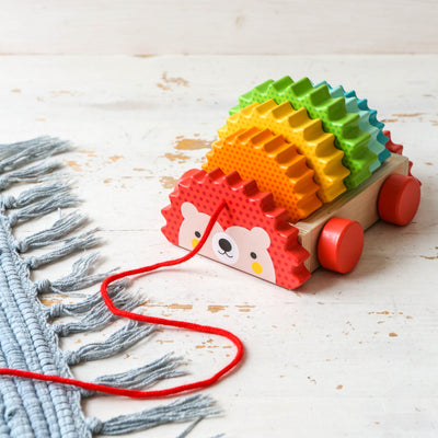Rainbow Hedgehog Wooden Pull Toy