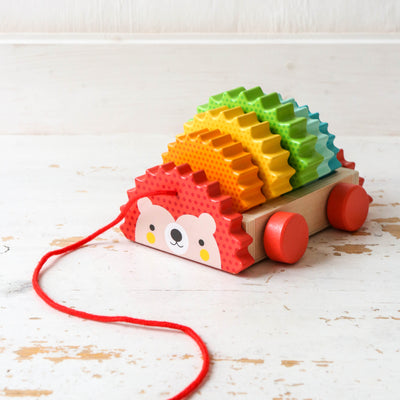 Rainbow Hedgehog Wooden Pull Toy