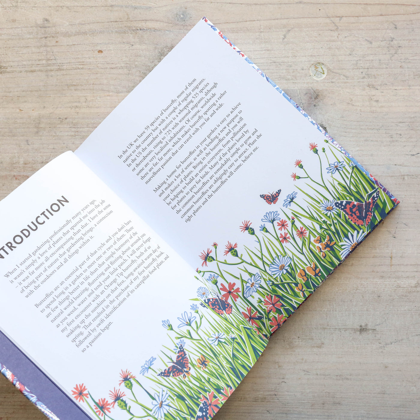 Planting for Butterflies : The Grower's Guide to Creating a Flutter