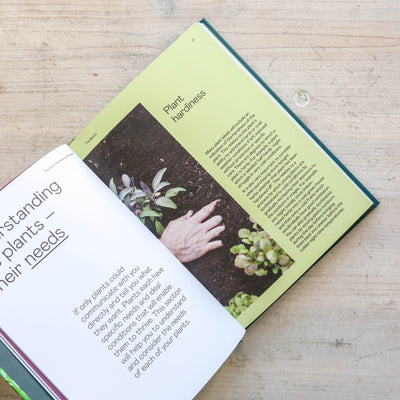 The Herb Gardening Handbook : A Beginner's Guide to Growing Herbs