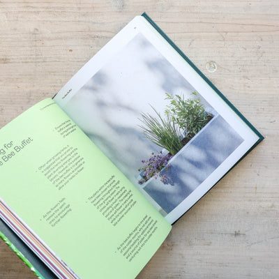 The Herb Gardening Handbook : A Beginner's Guide to Growing Herbs