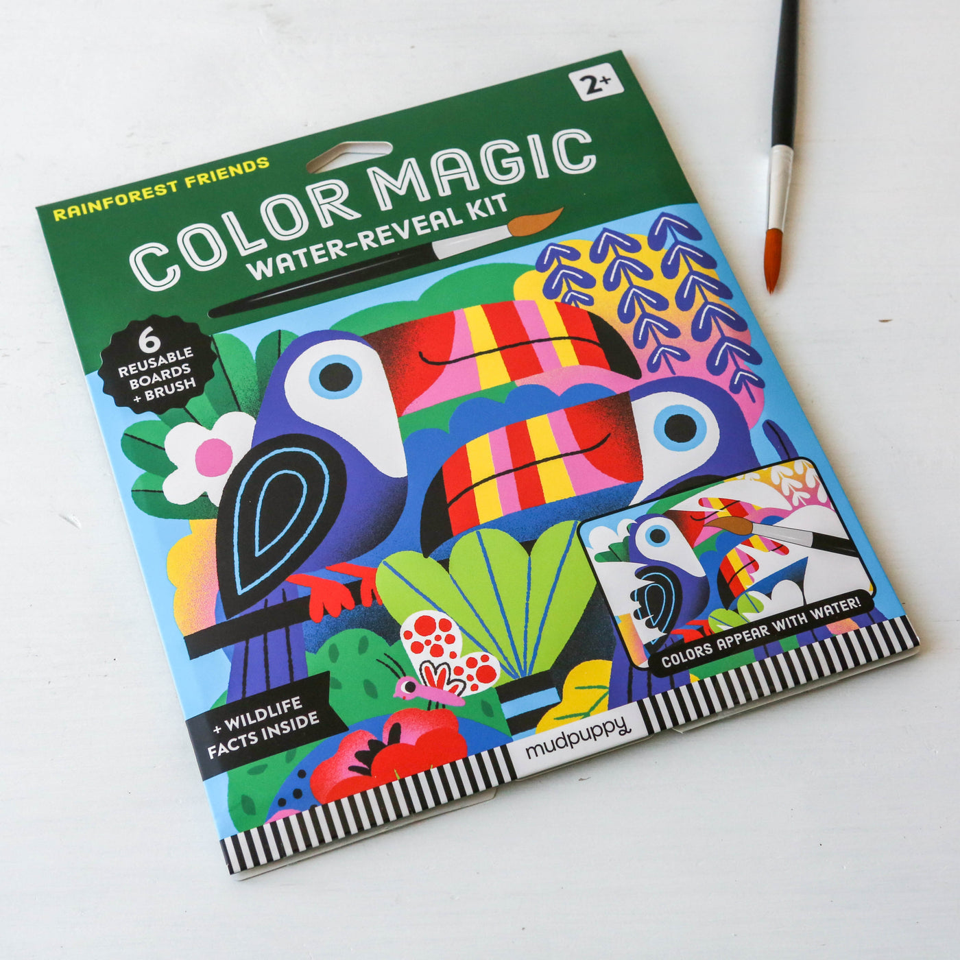 Rainforest Friends Color Magic Water-Reveal Kit