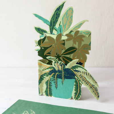Large Plant Pot Concertina Card