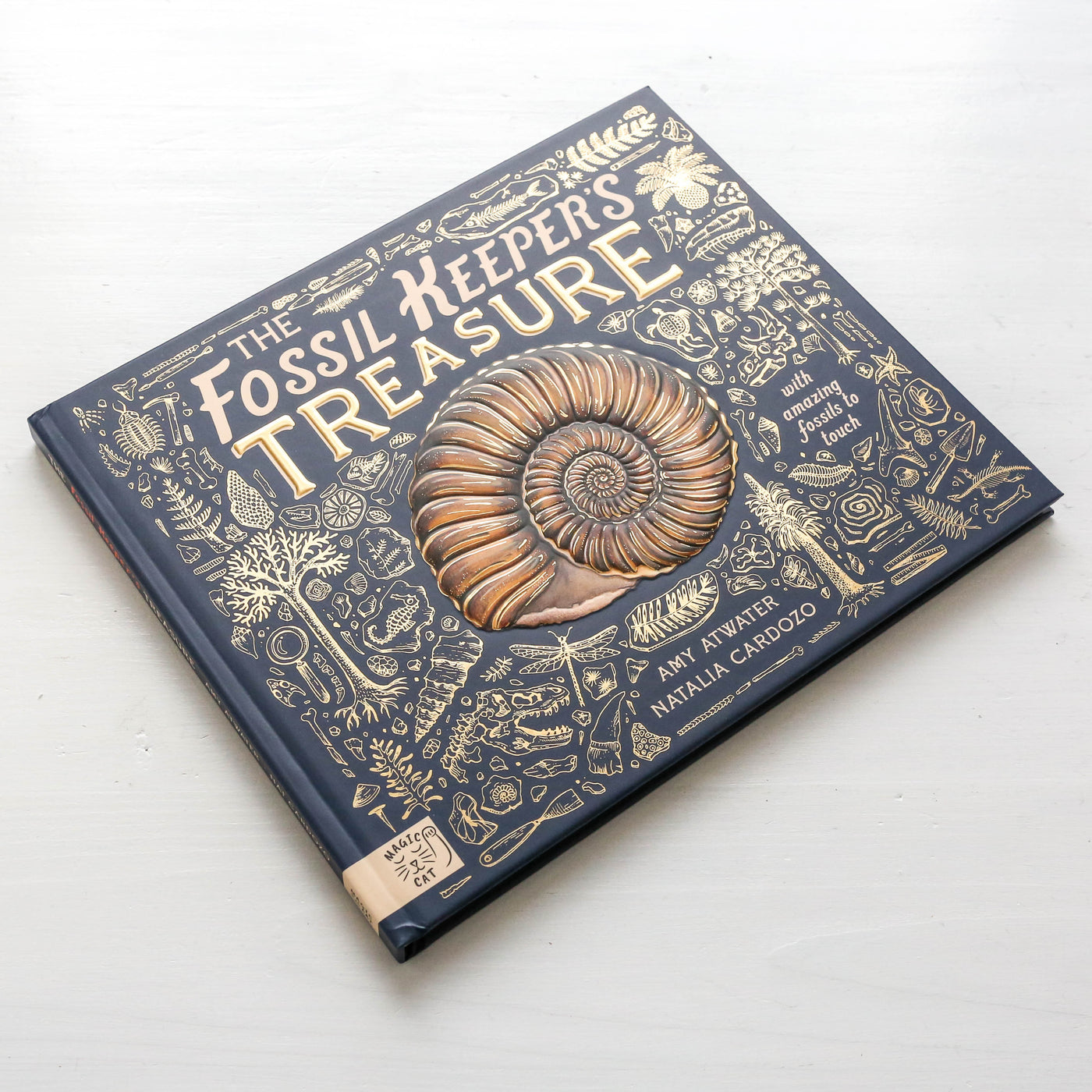 The Fossil Keeper's Treasure : With Amazing Fossils to Touch!
