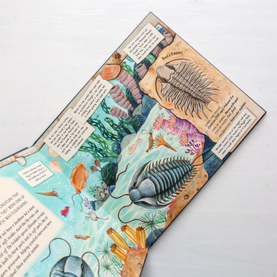 The Fossil Keeper's Treasure : With Amazing Fossils to Touch!