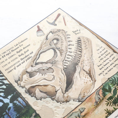 The Fossil Keeper's Treasure : With Amazing Fossils to Touch!