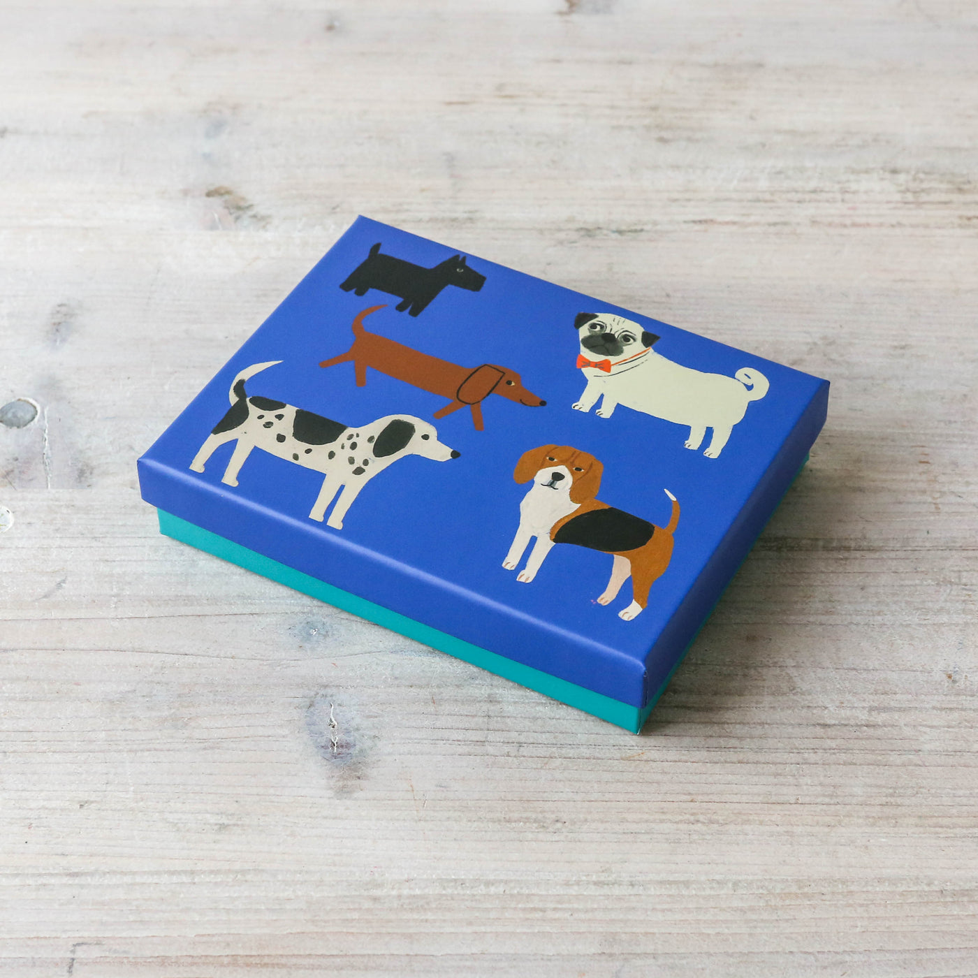 Shaggy Dogs Boxed Thank You Notecard Set