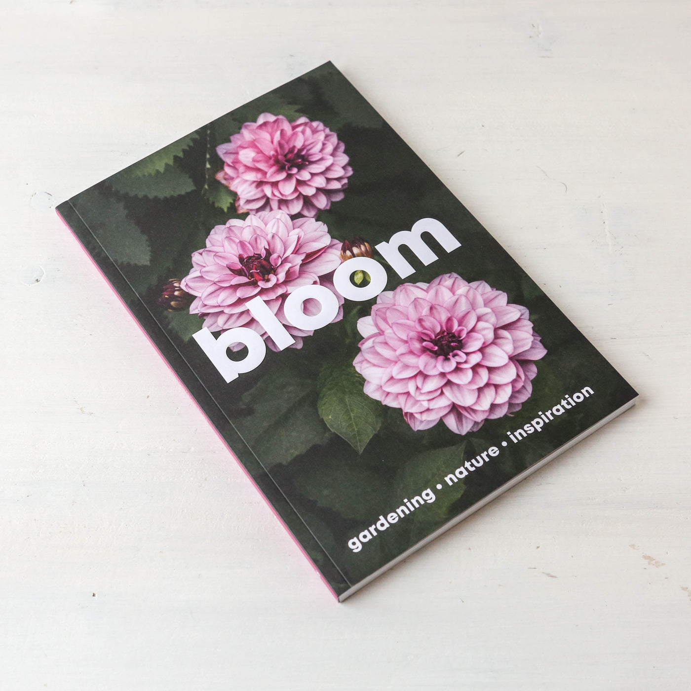 Bloom Magazine Issue 16
