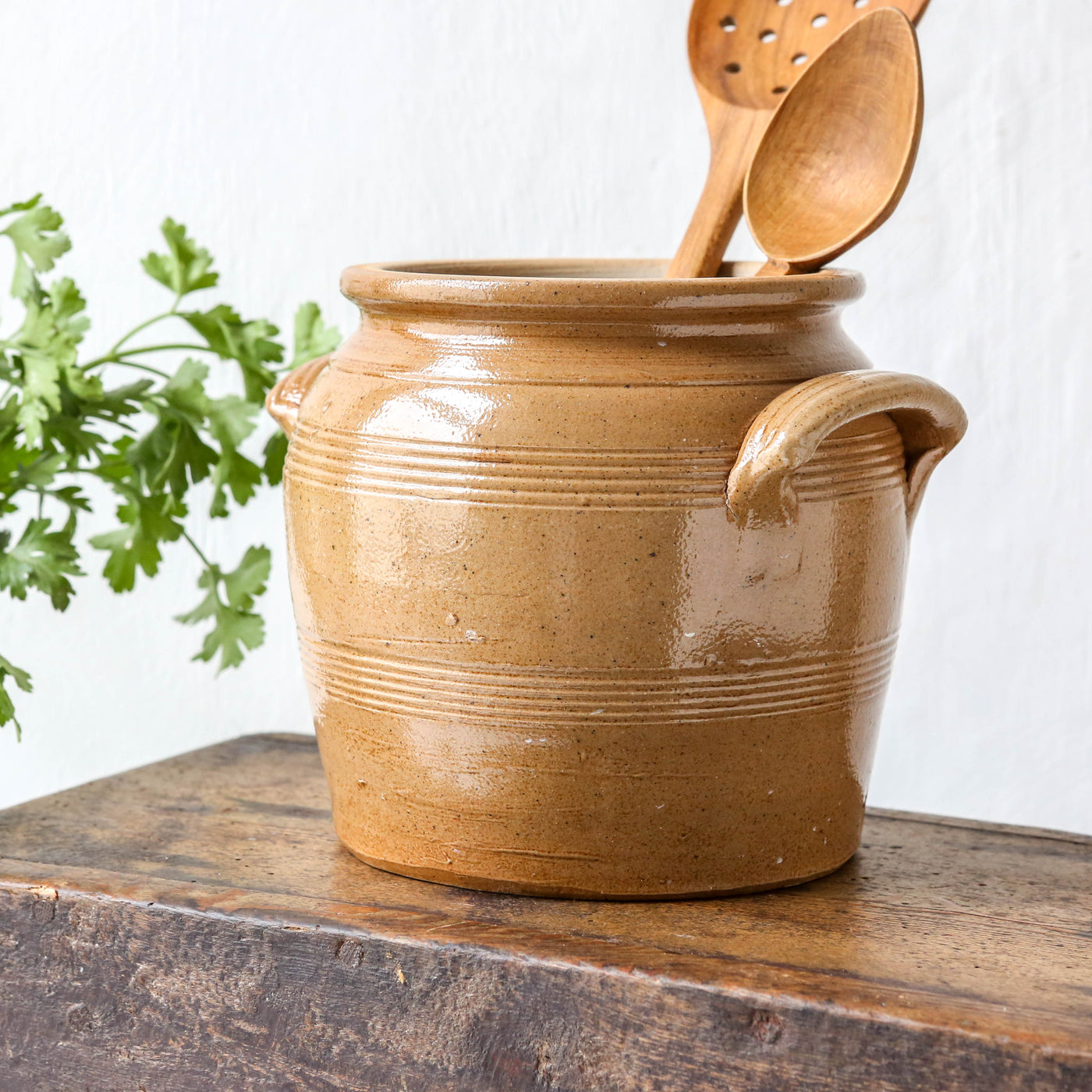 Large Vintage French Stoneware Confit Pot - Two Handles