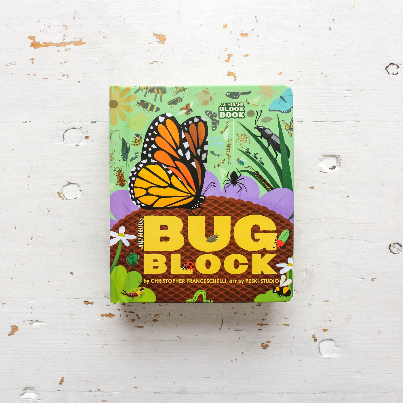 Bug Block Board Book