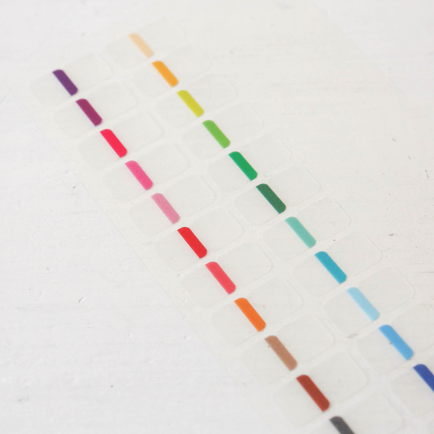 Midori Index Label Chiratto 24 Colours