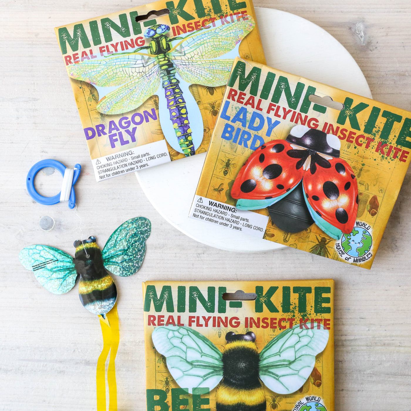 Mini Flying Insect Kite