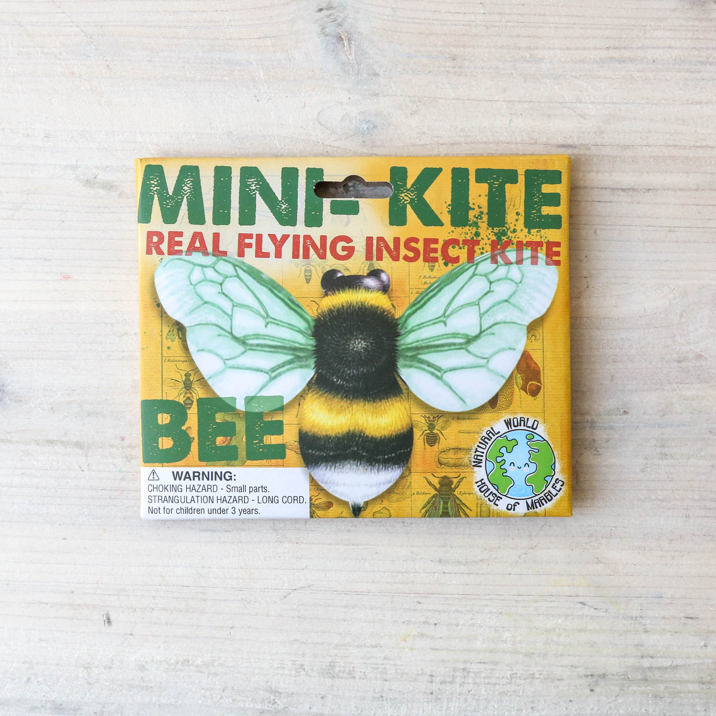 Mini Flying Insect Kite