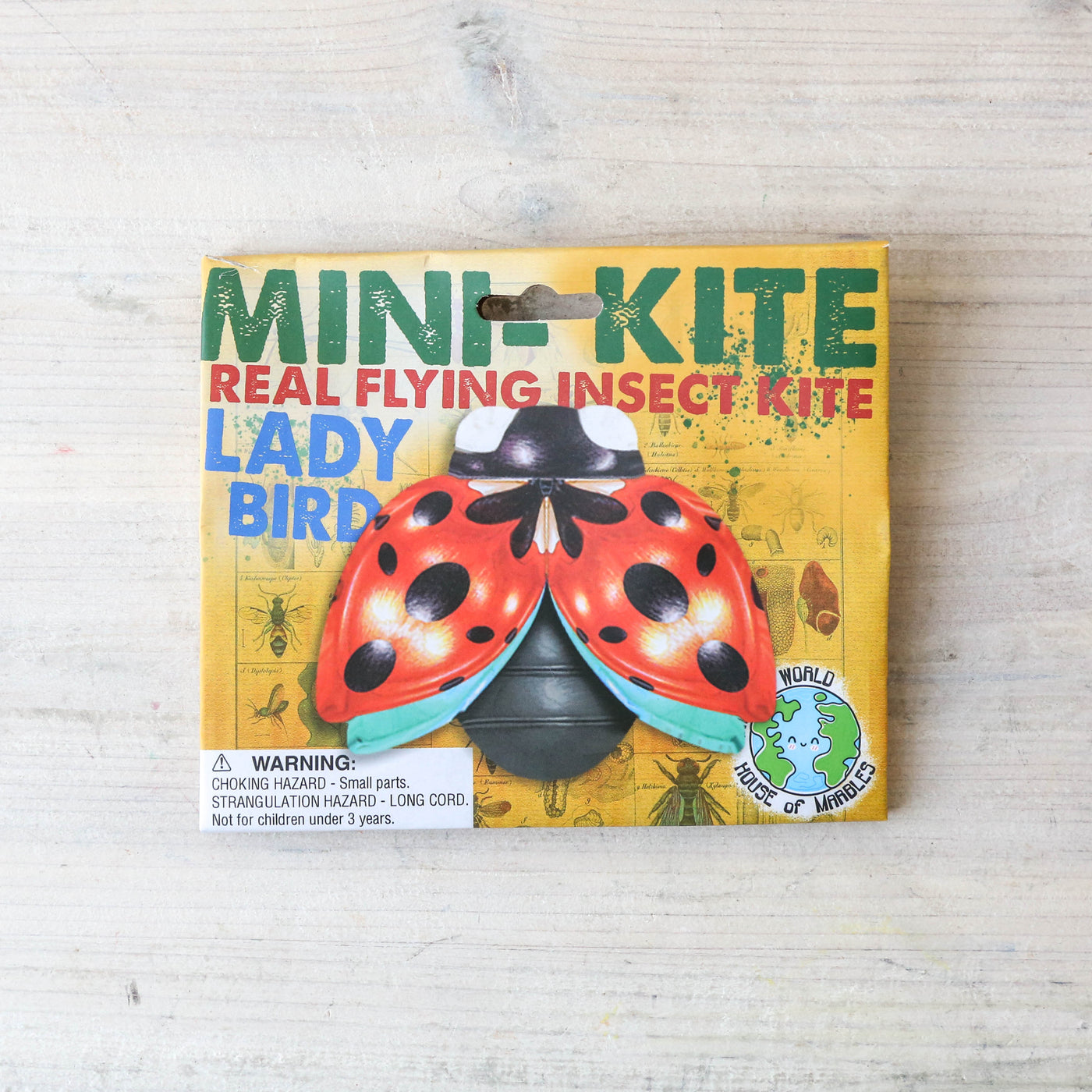 Mini Flying Insect Kite