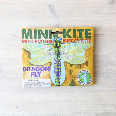 Mini Flying Insect Kite