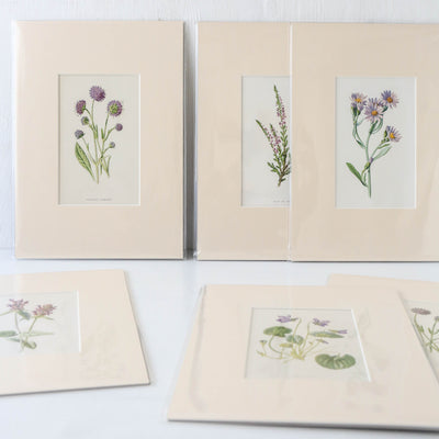 Vintage Book Plate - Purple Florals Batch B
