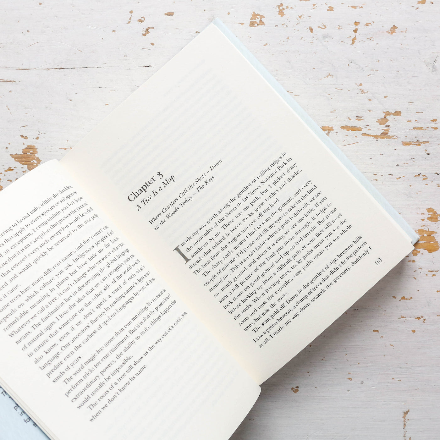 How to Read a Tree