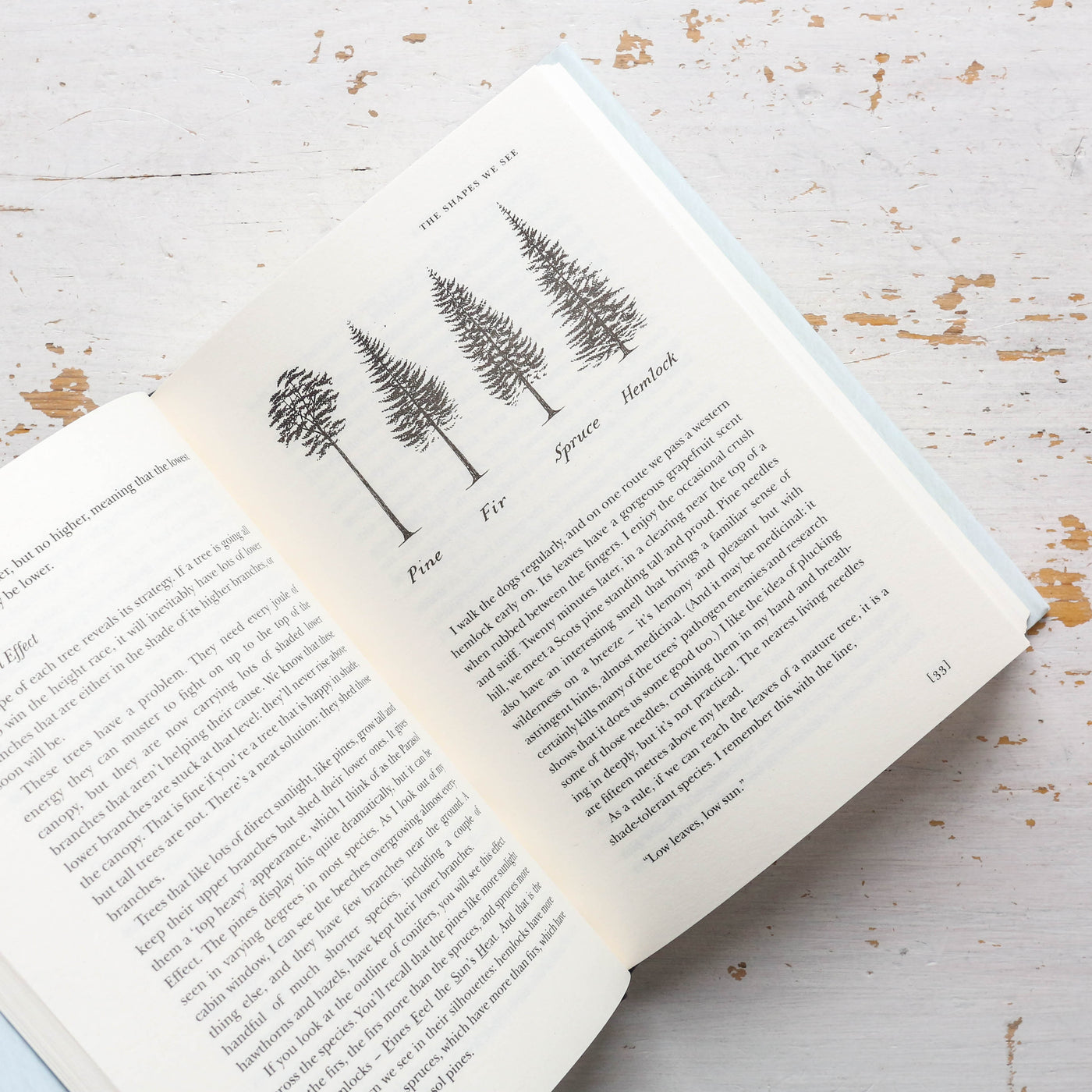 How to Read a Tree