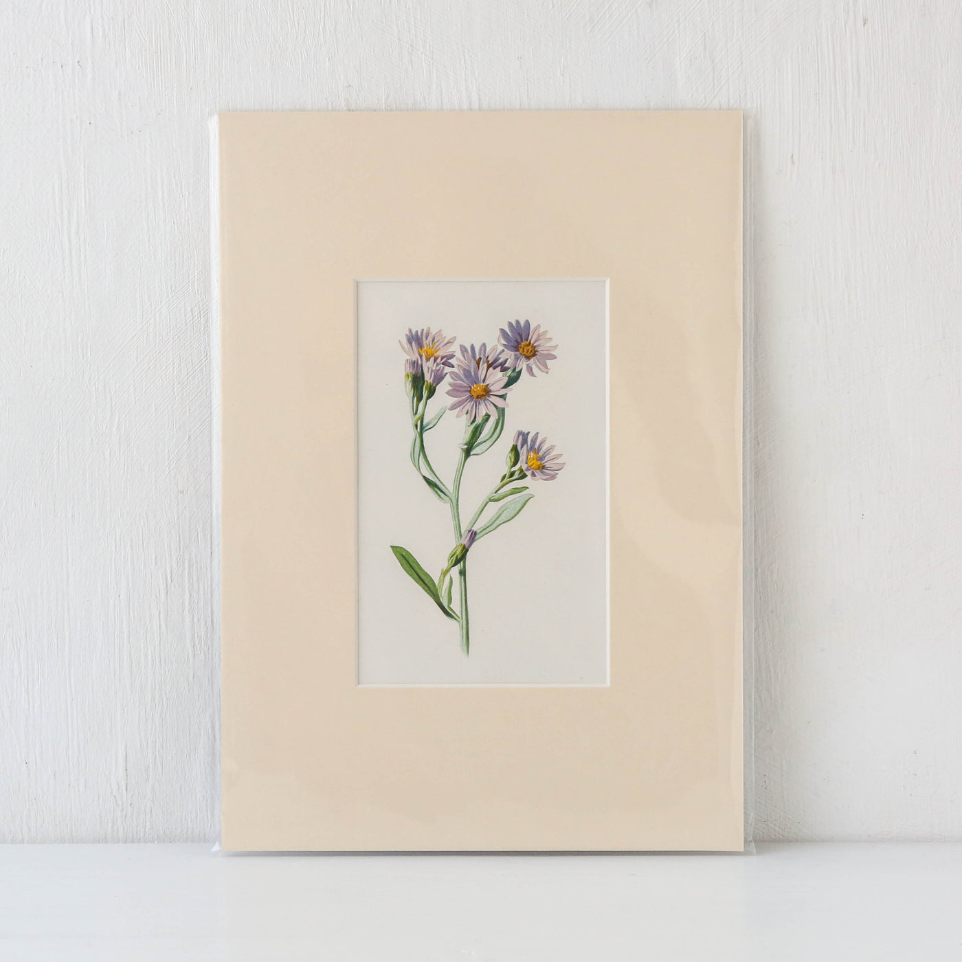 Vintage Book Plate - Purple Florals Batch B