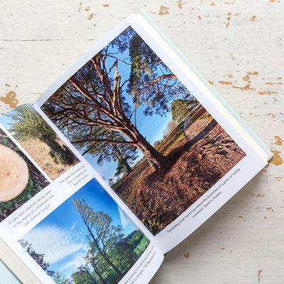 How to Read a Tree
