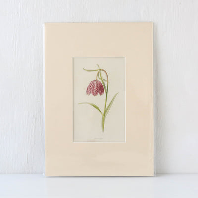 Vintage Book Plate - Purple and Pink Florals Batch C