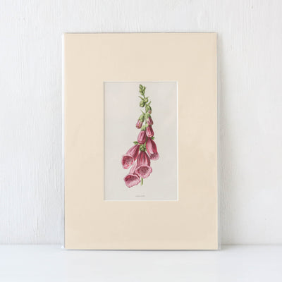 Vintage Book Plate - Purple and Pink Florals Batch C