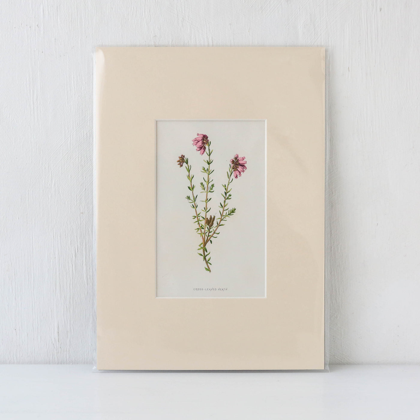 Vintage Book Plate - Purple and Pink Florals Batch C