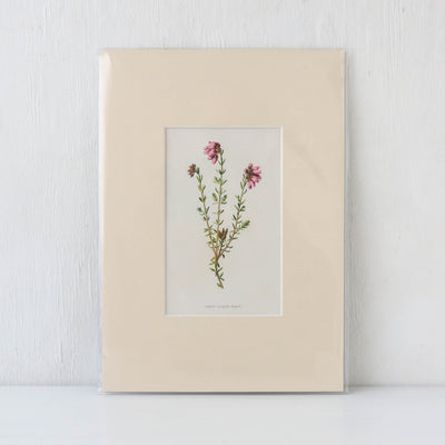 Vintage Book Plate - Purple and Pink Florals Batch C