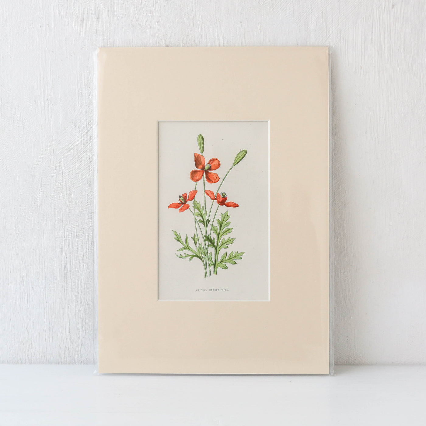 Vintage Book Plate - Pink and Red Florals Batch D