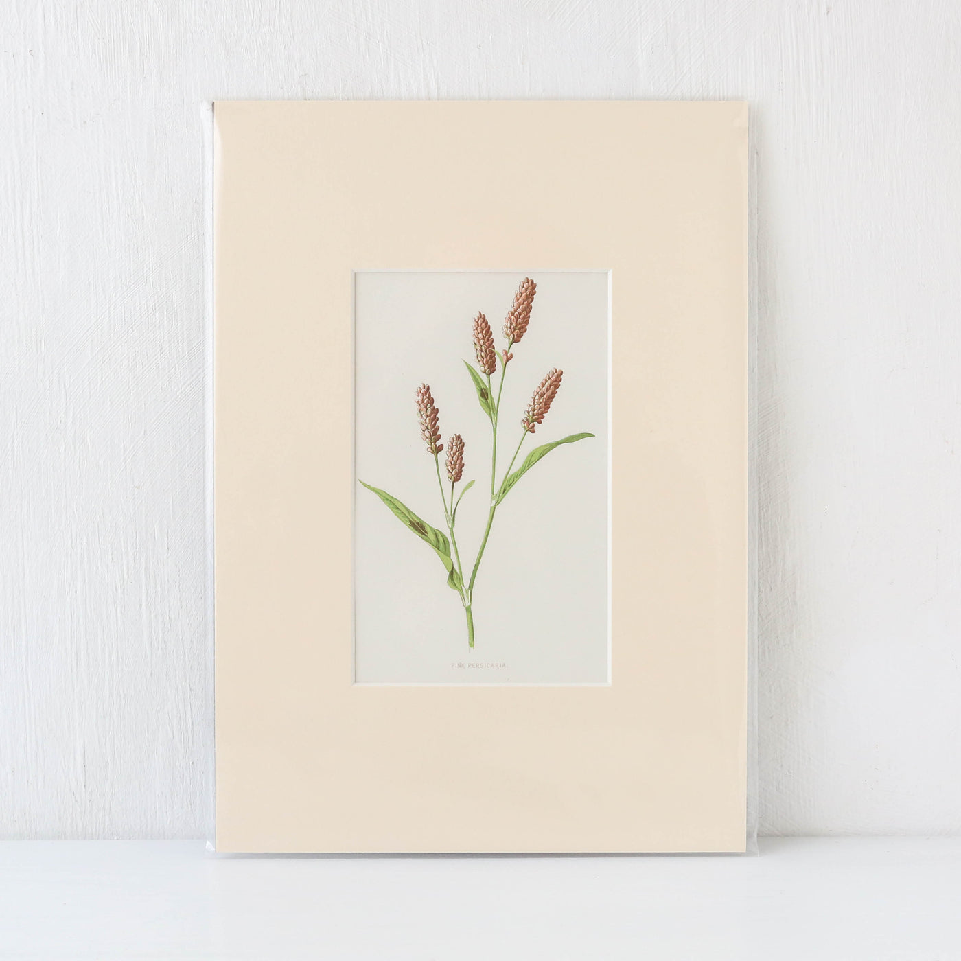 Vintage Book Plate - Pink and Red Florals Batch D