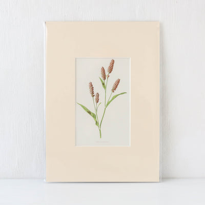 Vintage Book Plate - Pink and Red Florals Batch D