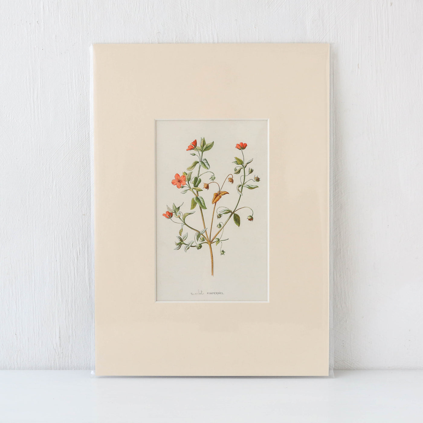 Vintage Book Plate - Pink and Red Florals Batch D