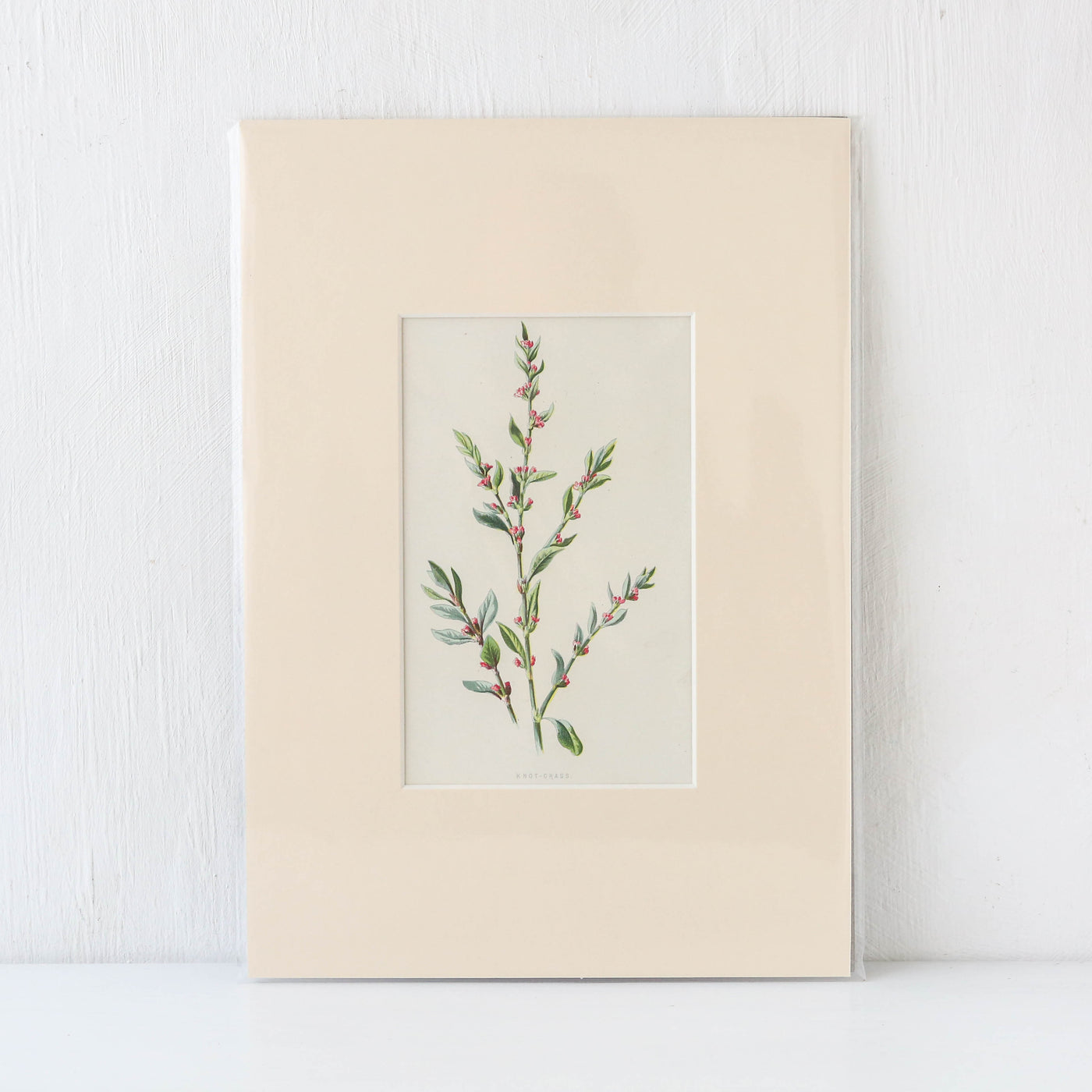 Vintage Book Plate - Pink and Red Florals Batch D