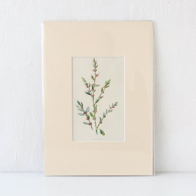 Vintage Book Plate - Pink and Red Florals Batch D