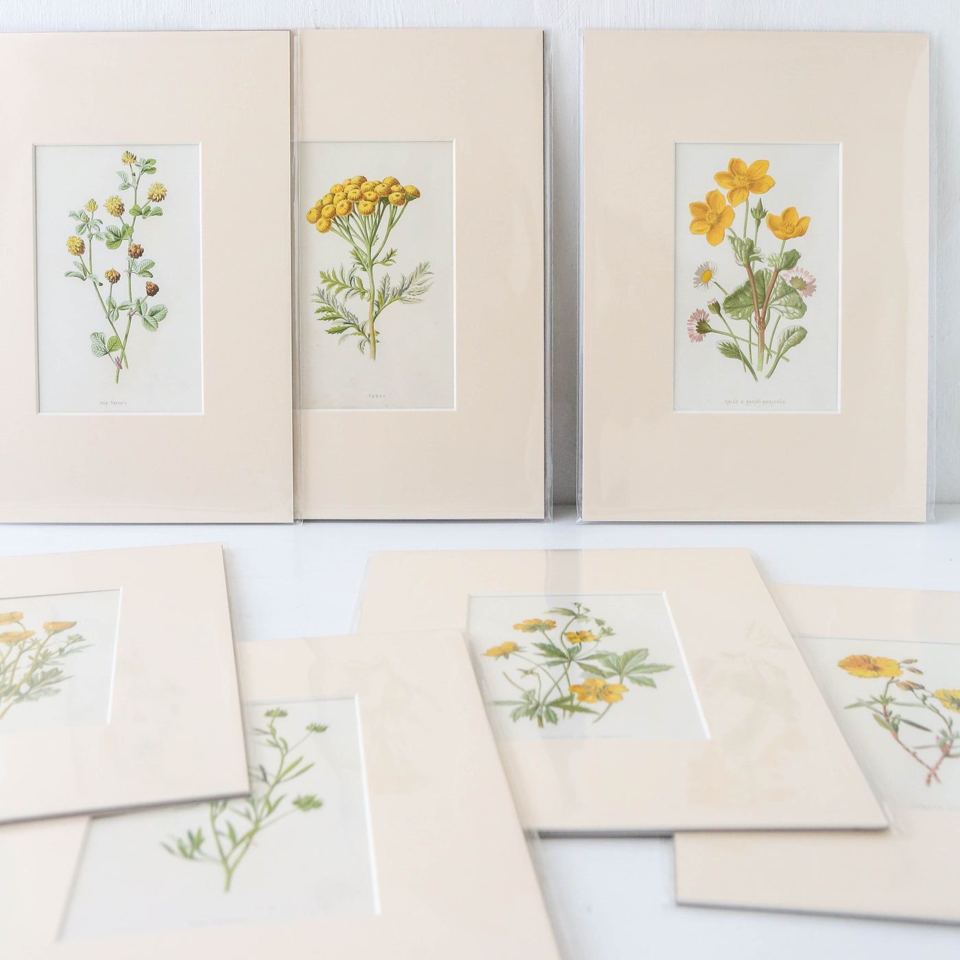 Vintage Book Plate - Yellow Florals Batch E