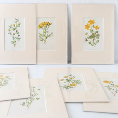 Vintage Book Plate - Yellow Florals Batch E
