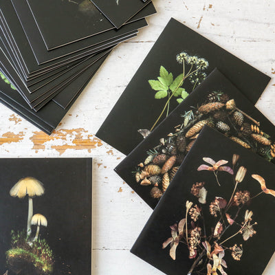 Deep Dark Forest Notecard Set
