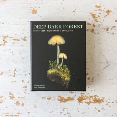 Deep Dark Forest Notecard Set