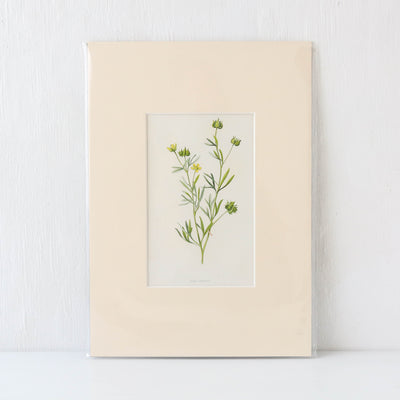 Vintage Book Plate - Yellow Florals Batch E