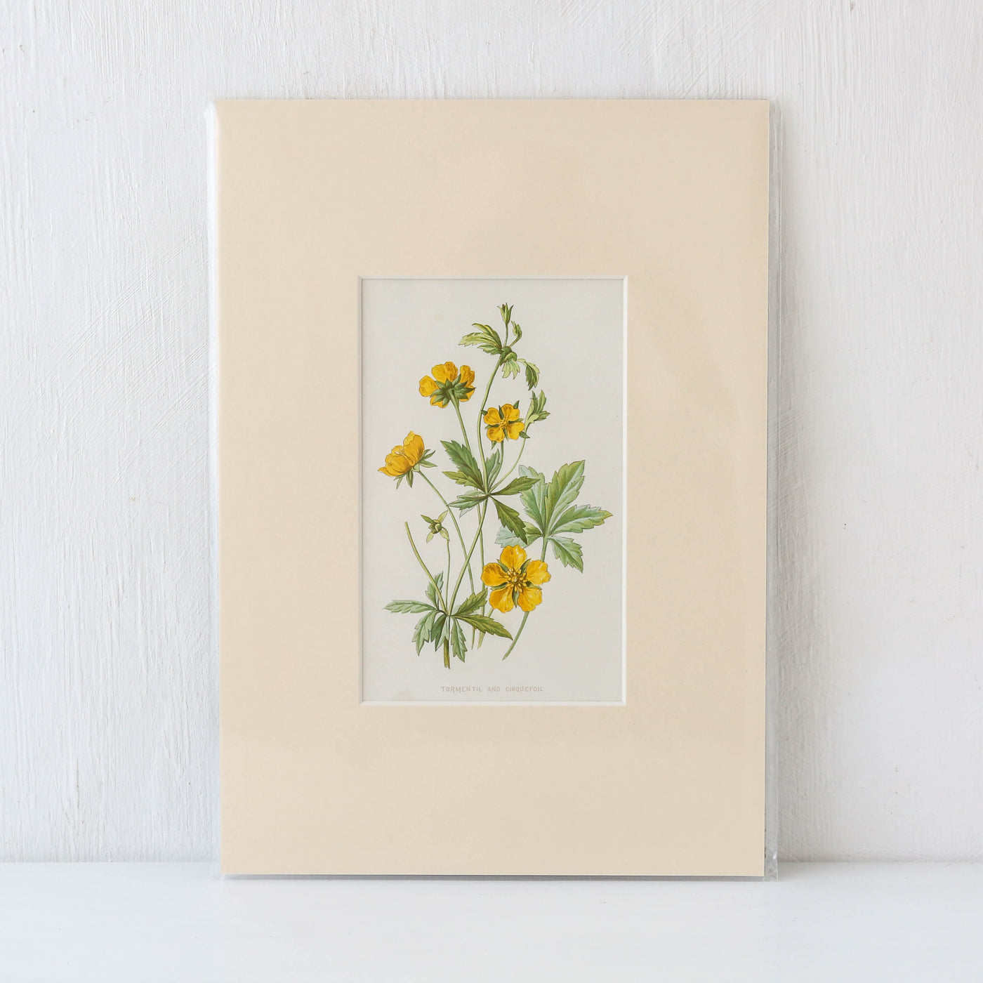 Vintage Book Plate - Yellow Florals Batch E