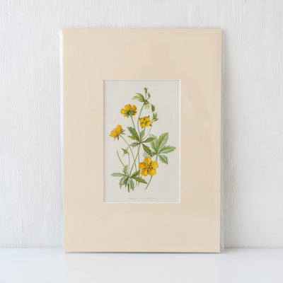 Vintage Book Plate - Yellow Florals Batch E