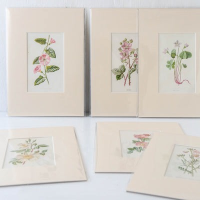 Vintage Book Plate - Pink and White Florals Batch F