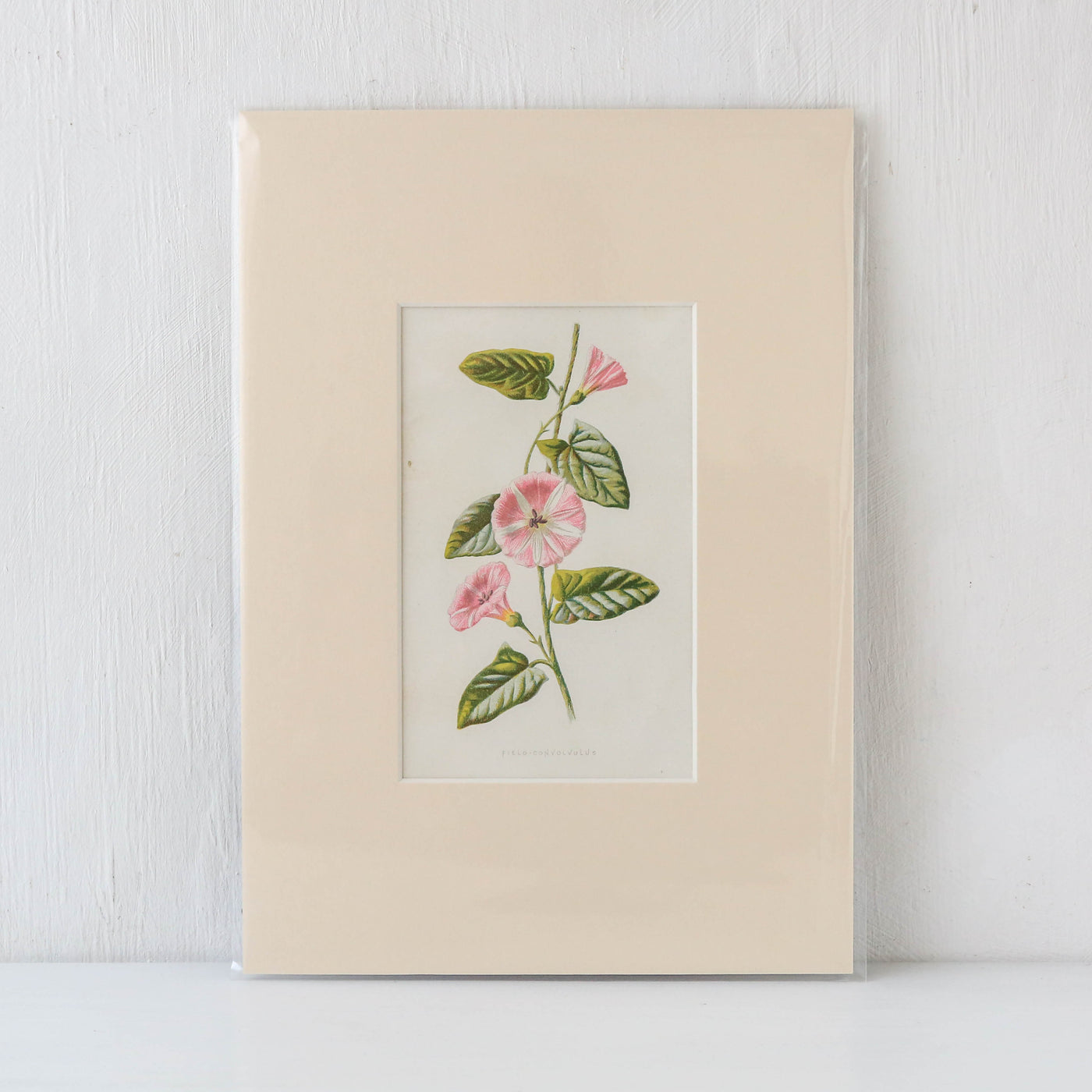 Vintage Book Plate - Pink and White Florals Batch F