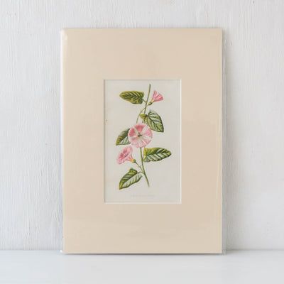 Vintage Book Plate - Pink and White Florals Batch F