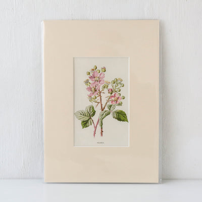 Vintage Book Plate - Pink and White Florals Batch F