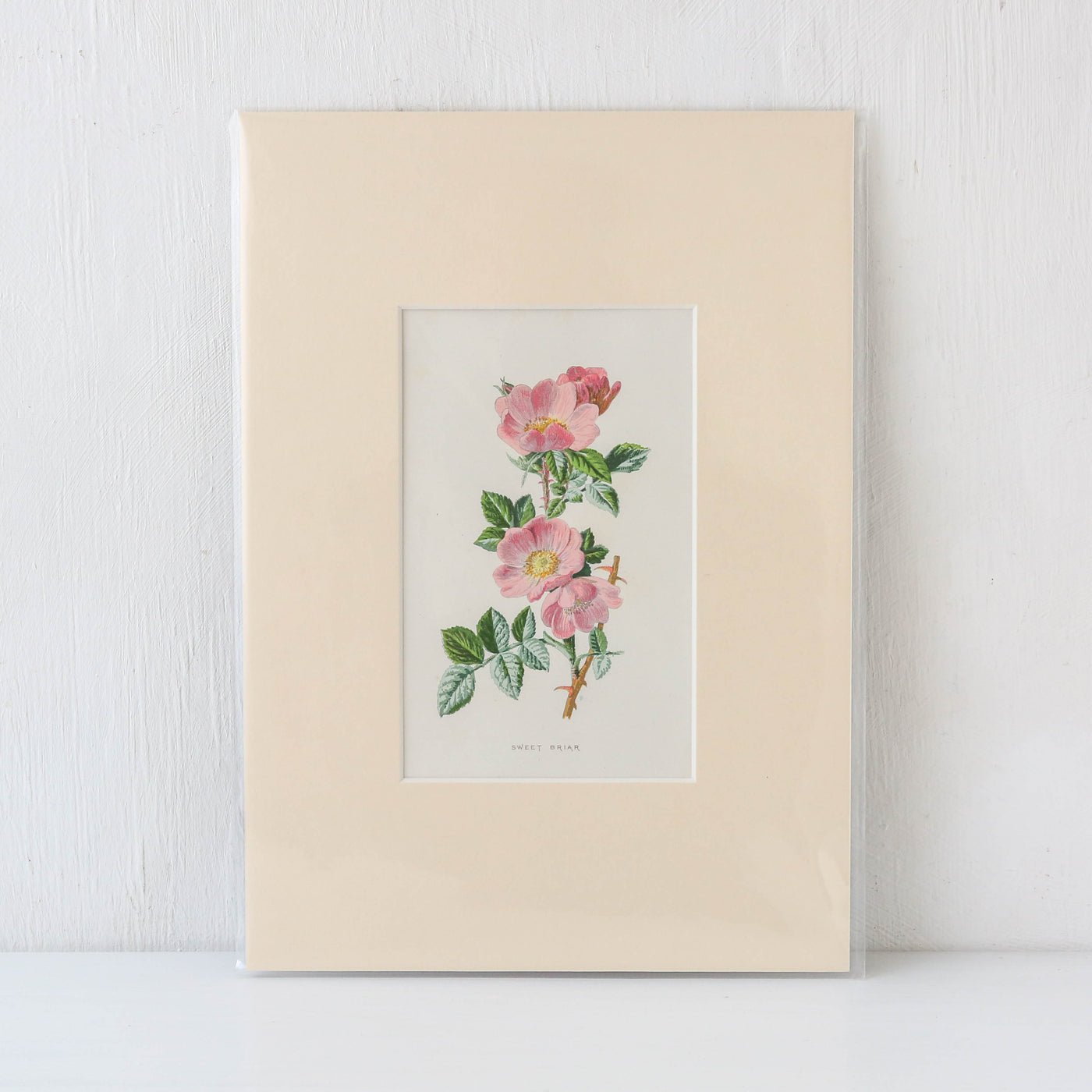 Vintage Book Plate - Pink and White Florals Batch F