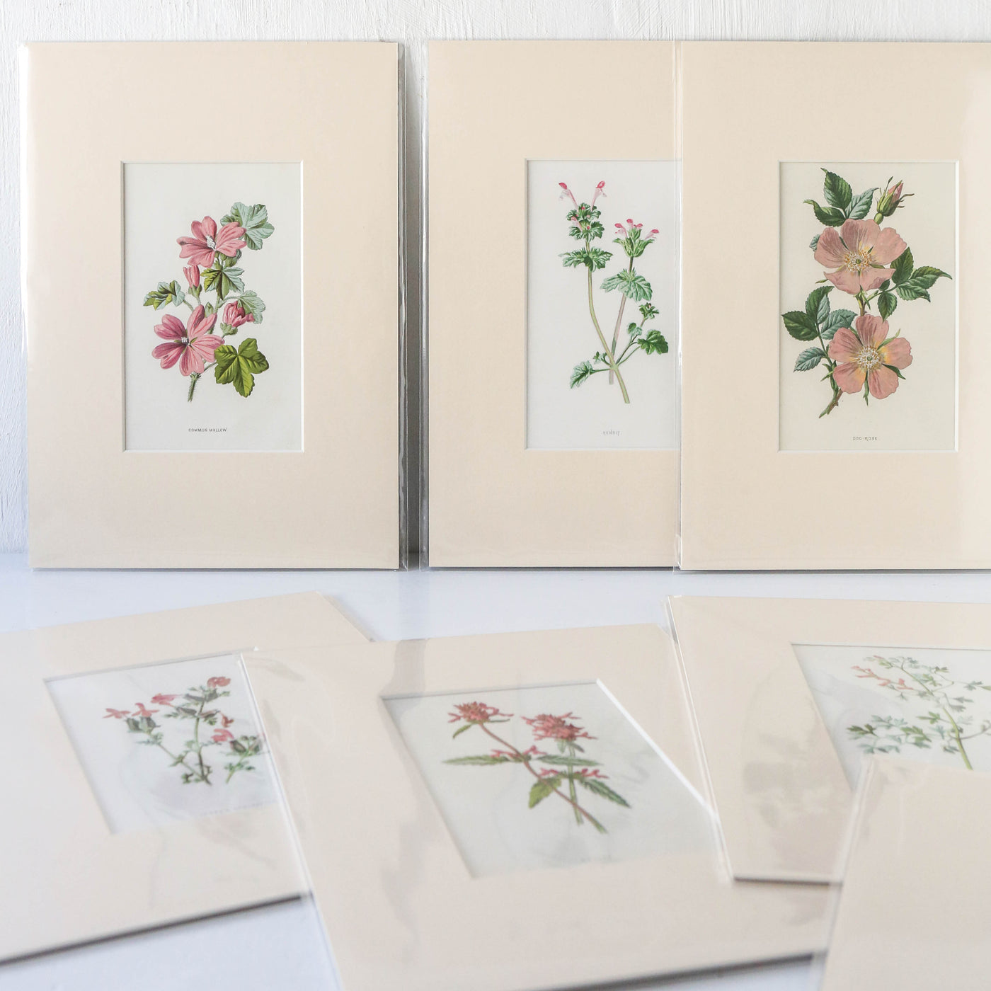 Vintage Book Plate - Pink Florals Batch G