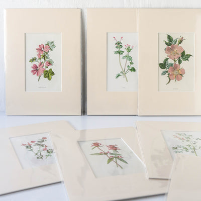 Vintage Book Plate - Pink Florals Batch G